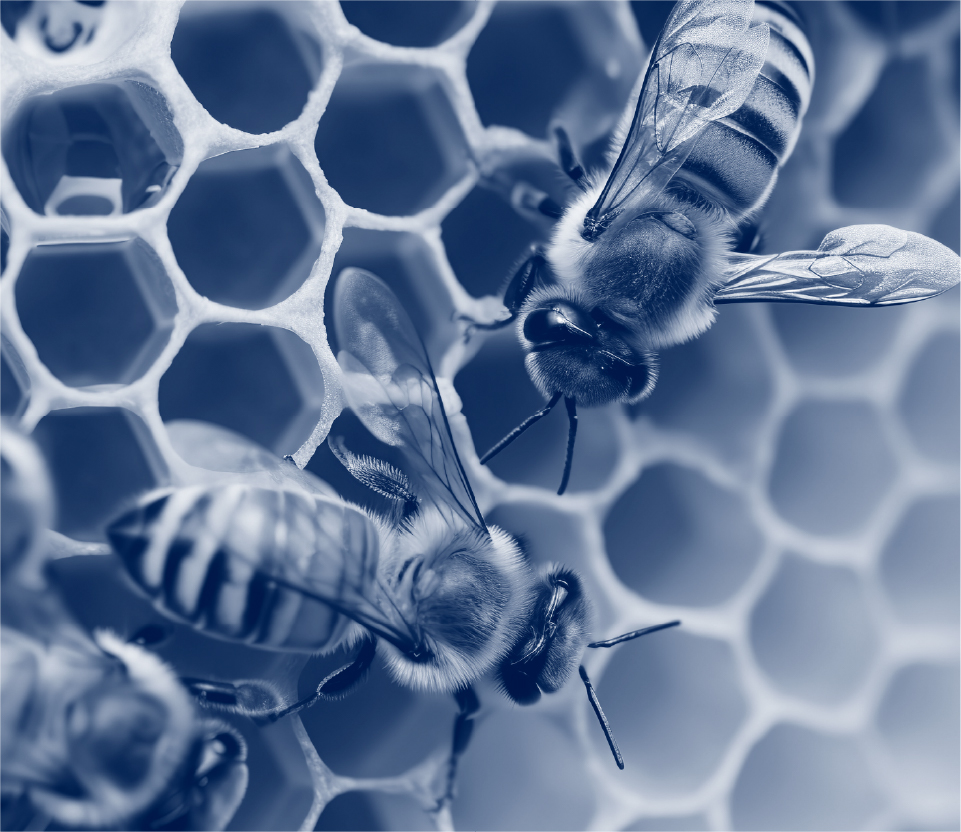 Instalaciones Corporativas